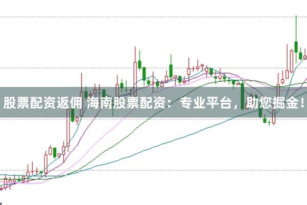 股票配资返佣 海南股票配资：专业平台，助您掘金！