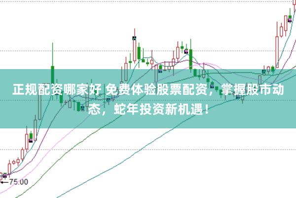 正规配资哪家好 免费体验股票配资，掌握股市动态，蛇年投资新机遇！