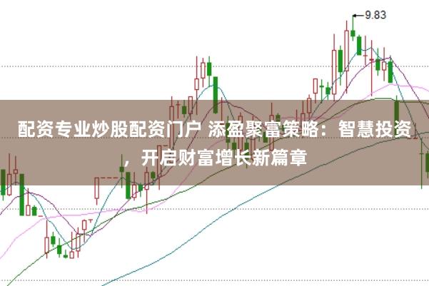配资专业炒股配资门户 添盈聚富策略：智慧投资，开启财富增长新篇章