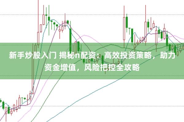 新手炒股入门 揭秘n配资:高效投资策略,助力资金增值,风险把控全攻略
