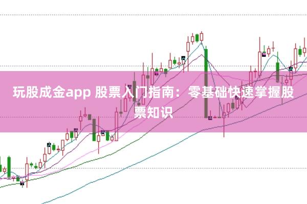 玩股成金app 股票入门指南：零基础快速掌握股票知识