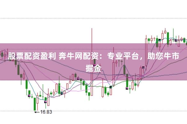 股票配资盈利 奔牛网配资：专业平台，助您牛市掘金