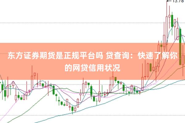 东方证券期货是正规平台吗 贷查询：快速了解你的网贷信用状况