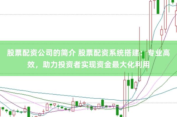 股票配资公司的简介 股票配资系统搭建：专业高效，助力投资者实现资金最大化利用
