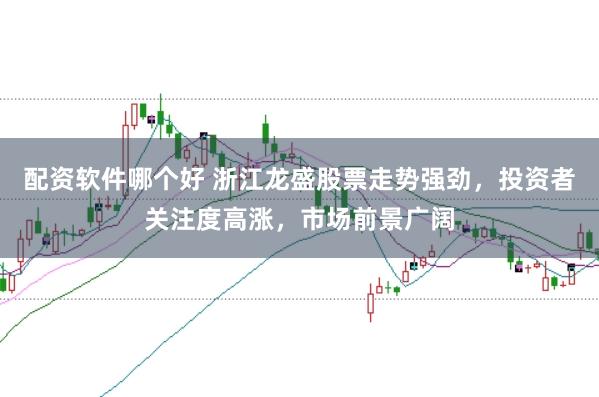 配资软件哪个好 浙江龙盛股票走势强劲,投资者关注度高涨,市场前景广阔