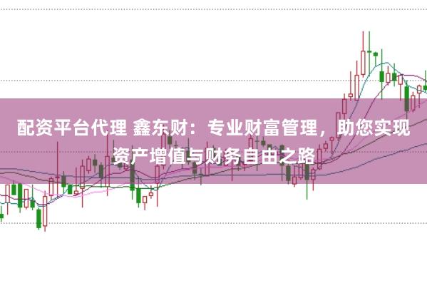 配资平台代理 鑫东财：专业财富管理，助您实现资产增值与财务自由之路