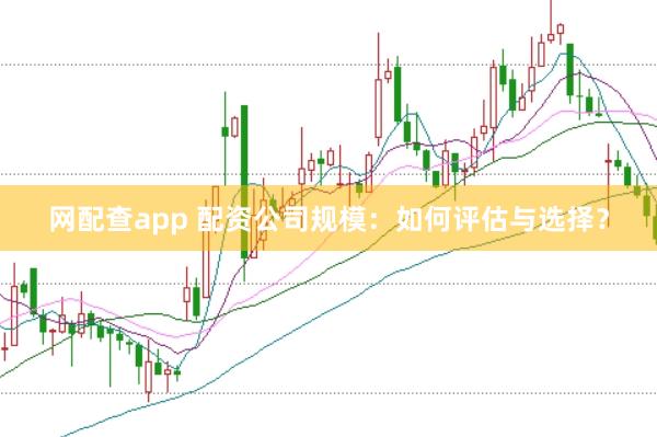 网配查app 配资公司规模：如何评估与选择？