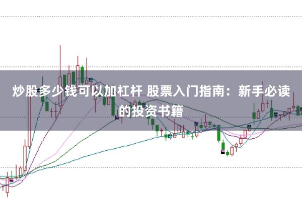 炒股多少钱可以加杠杆 股票入门指南：新手必读的投资书籍